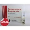 Testosterone Propionate 100 x 10 amps