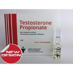 1000 x Amps Testosterone...