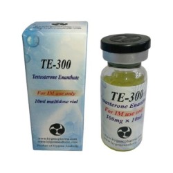 TE 300 Testosterone Enanthate 10ml