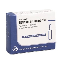 500 x Ampoules of Testosterone Enanthate (Iran), each £2.9